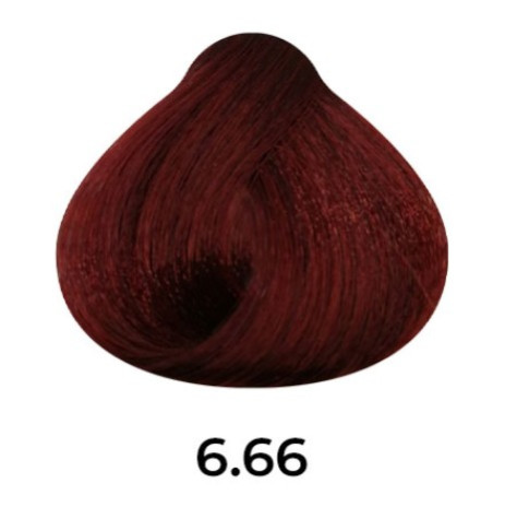 Βαφή Μαλλιών Fleir Luxury με λάδι Argan 100ml 6.66