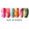 SOLAQ - Polish Gel Blooming 15ml